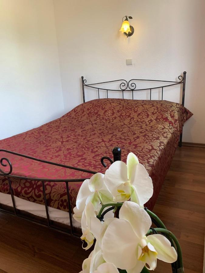 Villa Remedios Łeba Extérieur photo